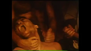 VCA Careless - LA Tool