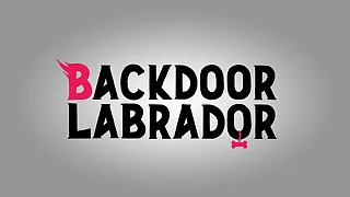 Legoshi se divertindo com seu amigo&lbrack;Taga&rsqb;